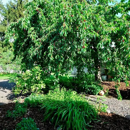 Appartamento In Charmantem Fachwerkhaus Altrip