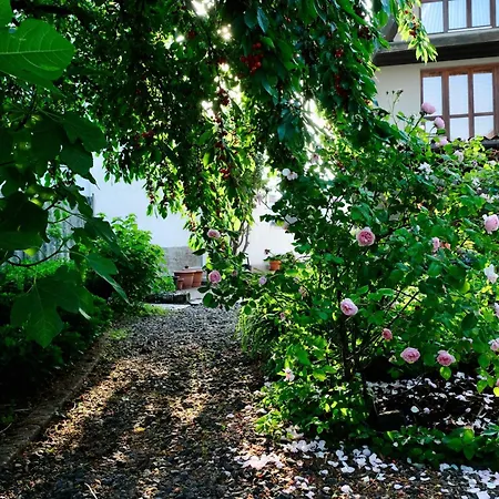In Charmantem Fachwerkhaus Lejlighed