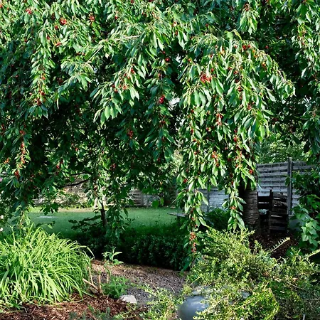 Apartman In Charmantem Fachwerkhaus