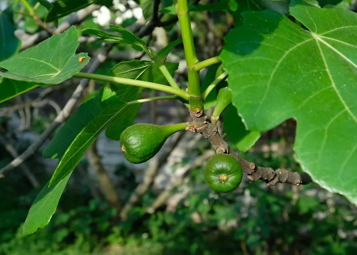 In Charmantem Fachwerkhaus Apartamento Altrip
