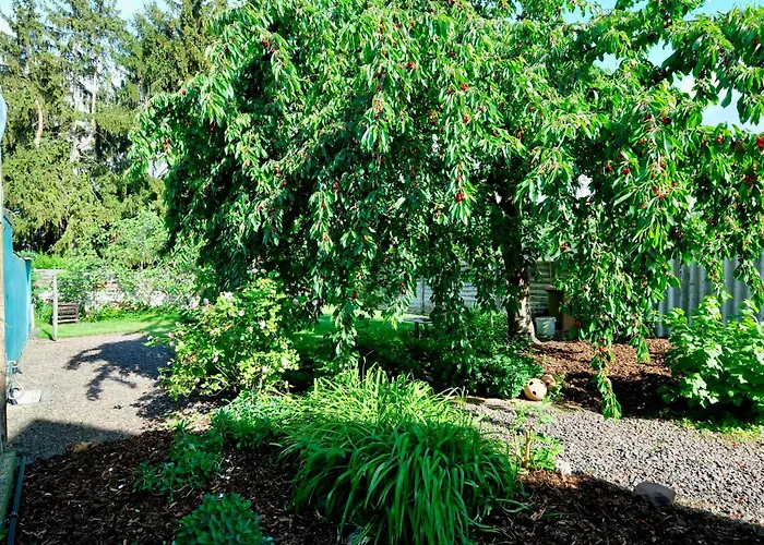 Apartamento In Charmantem Fachwerkhaus Altrip