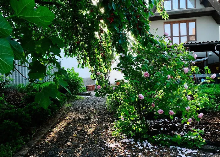 In Charmantem Fachwerkhaus Apartamento