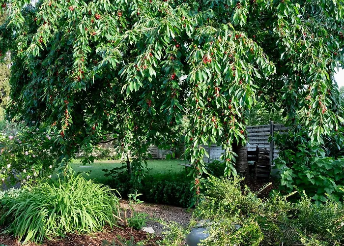 Apartamento In Charmantem Fachwerkhaus